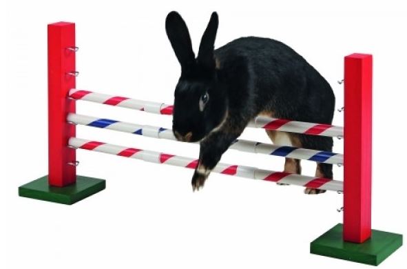 agility